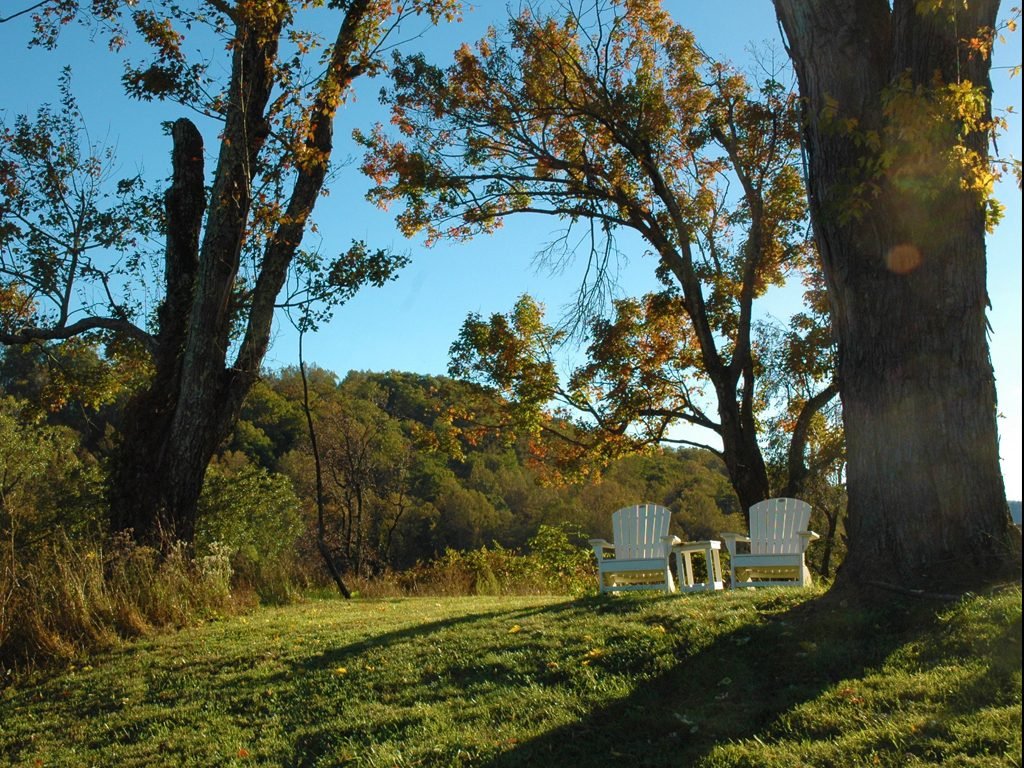 DuCard Vineyards Wedding  Venue  in Madison  VA 