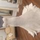 La Sposa Wedding Dress, never worn! Size 10