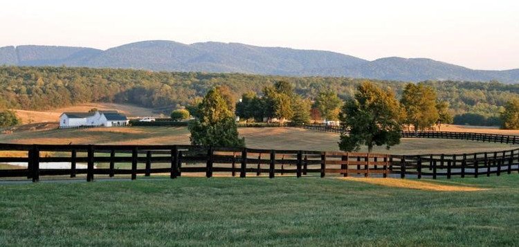 Destination Wedding: Orange Virginia