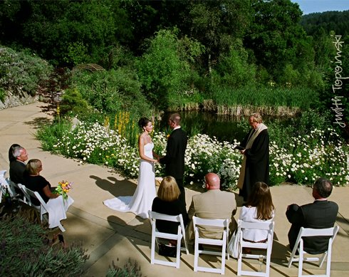 What is the Alternative? A Tiny Wedding, of Course!